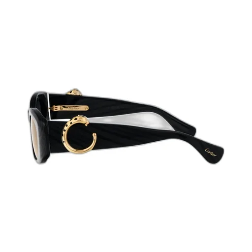 Cartier Cat-Eye Frame Sunglasses