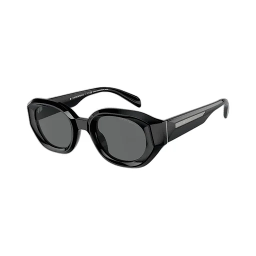 Full Frame Sunglasses