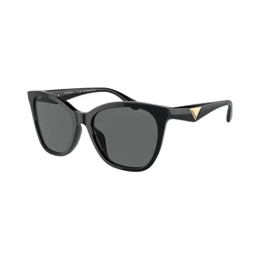 Full Frame Sunglasses