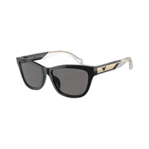 Full Frame Sunglasses
