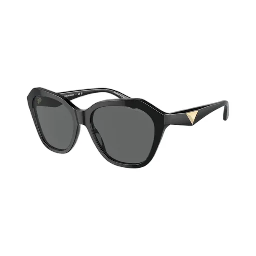 Full Frame Sunglasses