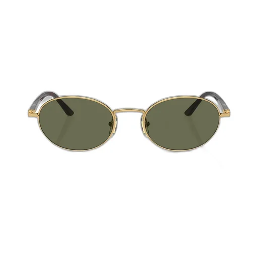 Full Frame Sunglasses