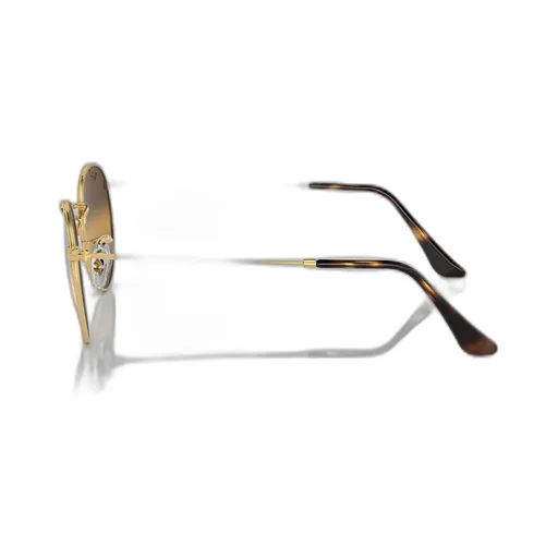 Full-Frame Sunglasses