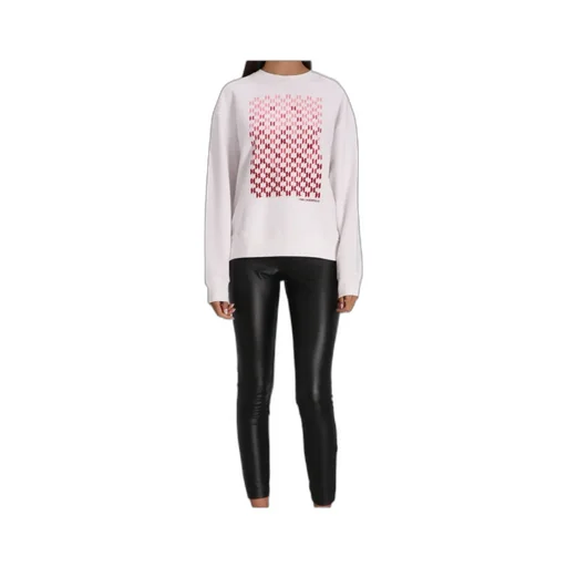 Long-Sleeved Sweater