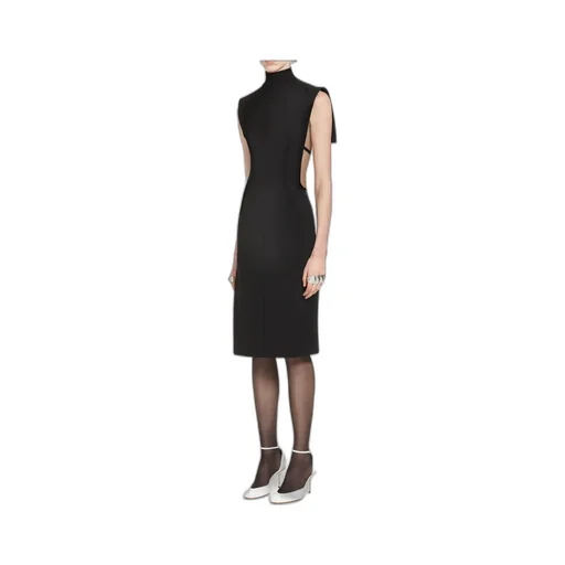 Sleeveless Dress