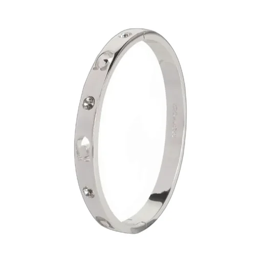 Hinged Bracelet