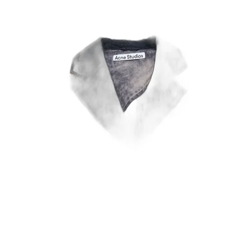 Acne Studios Single-Breasted Jacket