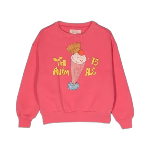 Crew Neck Printed Sweatshirt