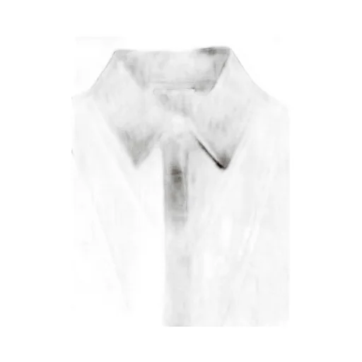 Salvatore Ferragamo Monogrammed Semi-Sheer Shirt