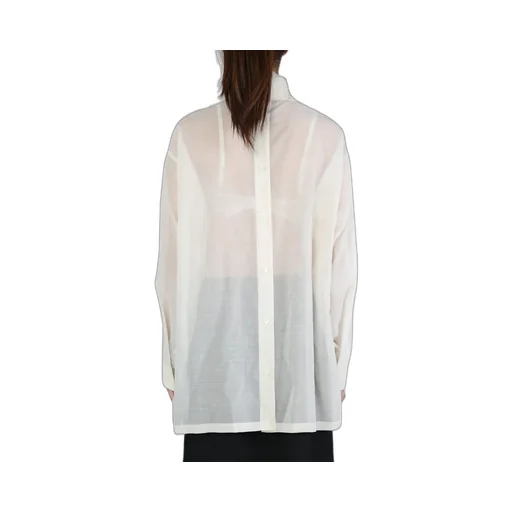 Sheer Blouse