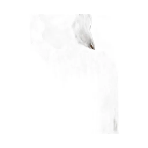 Salvatore Ferragamo Gancini Jacquard Semi-Sheer Shirt