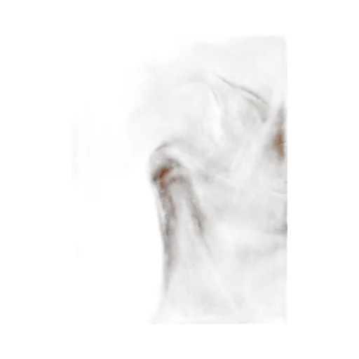 Logo Scarf