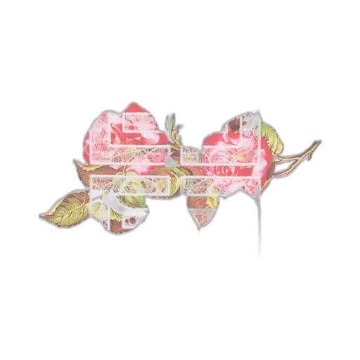 4G Lace Slim Fit T-Shirt In Cotton With Roses Print