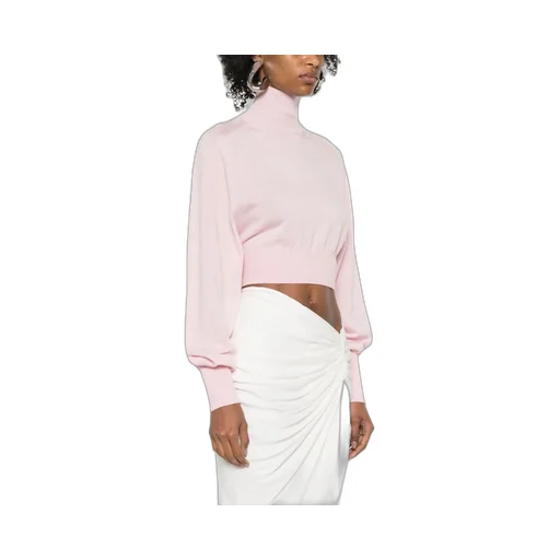 Sportmax High Neck Long-Sleeved Jumper