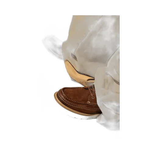 Dsquared2 Explorer Ankle Boots