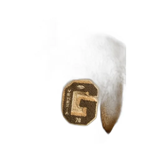 Golden Goose Kids Logo Patch Zipped Bomber Jacket