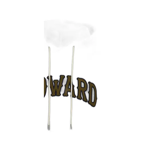 Howard Hoodie