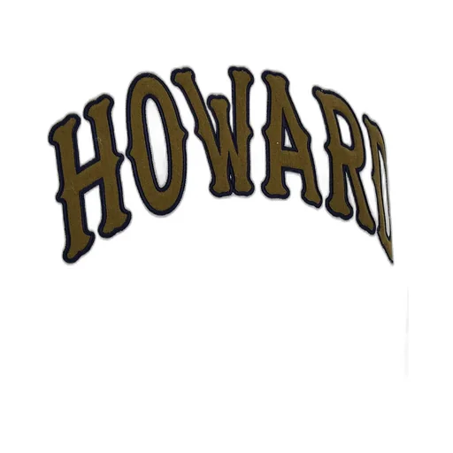 Howard Hoodie