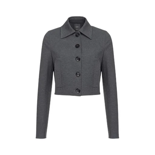 Pinko Short Single-Breasted Stitched Jacket