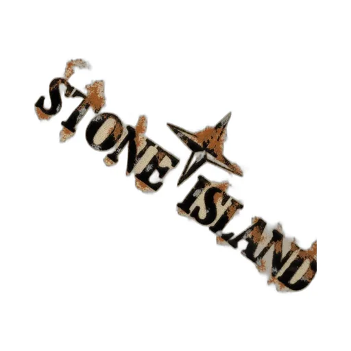 Stone Island Junior Logo Printed Jersey Hoodie