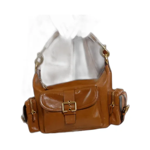 Chlo Camera Zipped Shoulder Bag