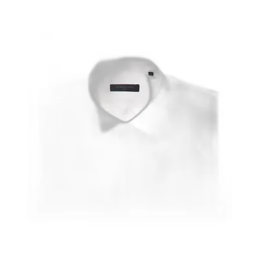 Long-Sleeve Poplin Shirt