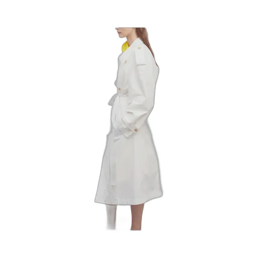 Double-Breasted Trench Coat