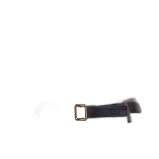 The Row Jin Square Buckled Belt