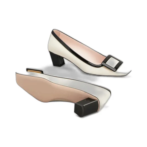 Belle Vivier Pumps In Patent Leather