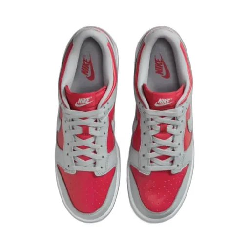 Dunk Low Leather Sneakers