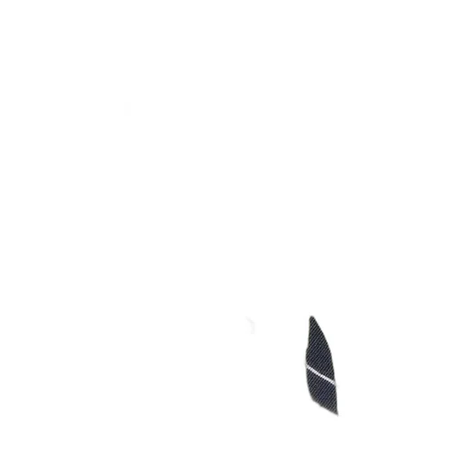 Logo Scarf