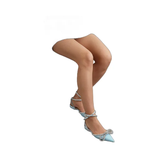 Pointed Ballet Shoes