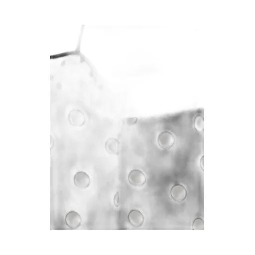 Stella Mccartney Layered Polka Dot Print Top