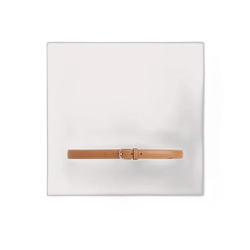 TotÊMe Logo Detailed Buckled Belt