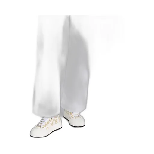 Christian Dior Walkndior Platform Sneakers