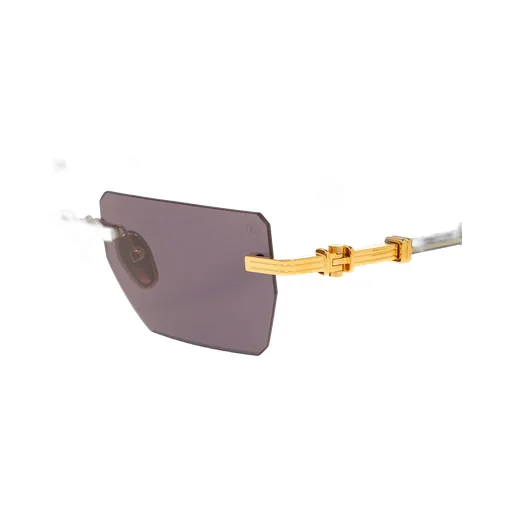 Balmain Eyewear Pierre Rectangular Frame Sunglasses