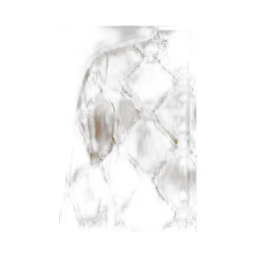 Twinset Chian Printed Poplin Shirt