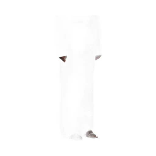 Loulou Studio Attu Wide-Leg Jeans