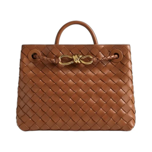 Bottega Veneta Andiamo Small Tote Bag