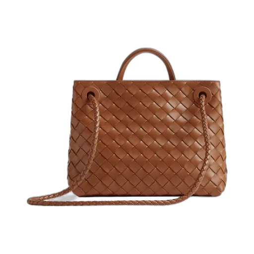 Bottega Veneta Andiamo Small Tote Bag
