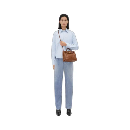 Bottega Veneta Andiamo Small Tote Bag