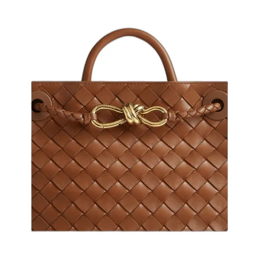 Bottega Veneta Andiamo Small Tote Bag