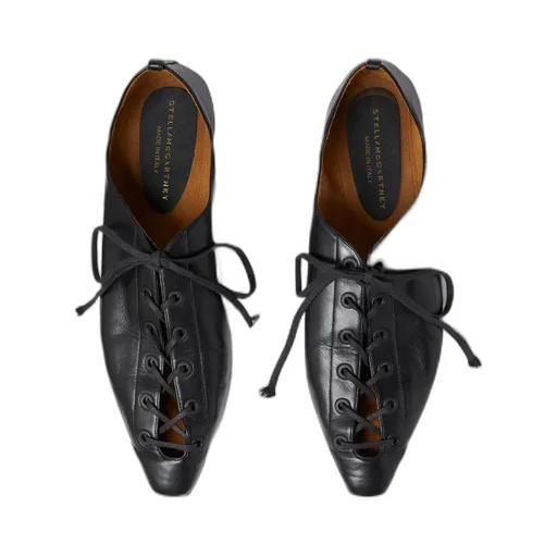 Stella Mccartney Pointed Toe Lace-Up Loafers