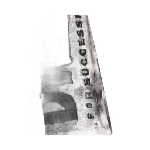 Diesel P-Marshy Logo Printed Bermuda Shorts