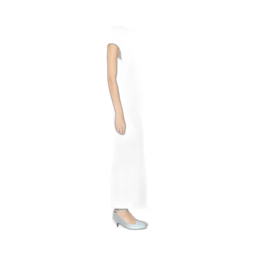 Semi-Sheer Corset Maxi Dress