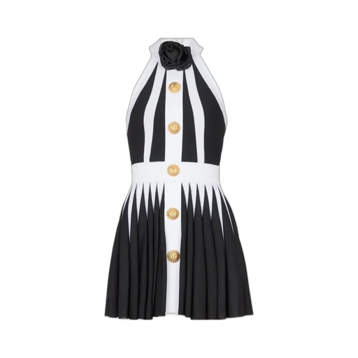 Balmain Rose Detailed Mini Dress