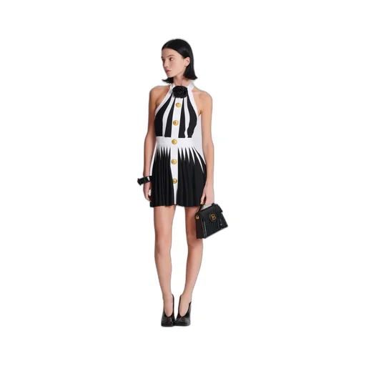 Balmain Rose Detailed Mini Dress