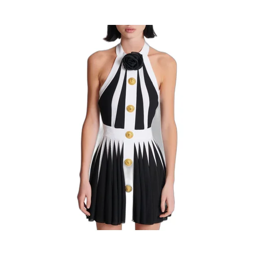 Balmain Rose Detailed Mini Dress