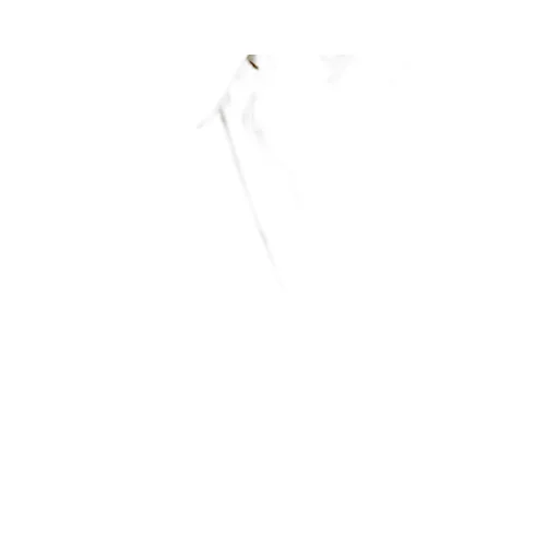 Elisabetta Franchi Body-Chain Detail Long-Sleeved Shirt