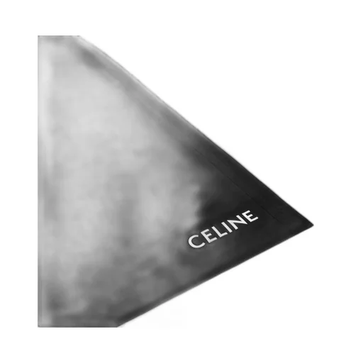 Celine Swim Shorts In Nylon